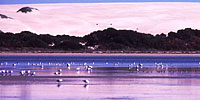 Water Cluster promotional image